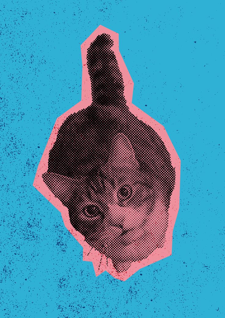 Pop Art Cat