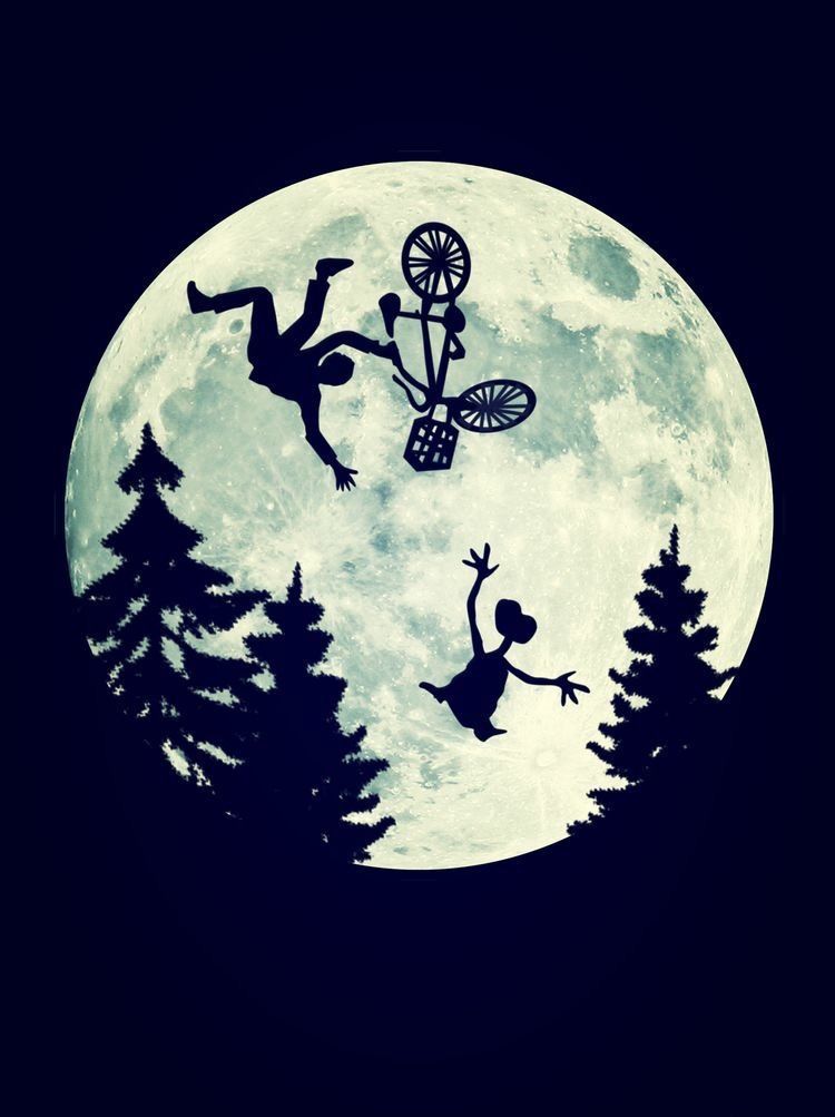 Moonlit Bicycle Adventure
