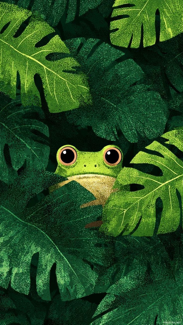 Frog in the Jungle