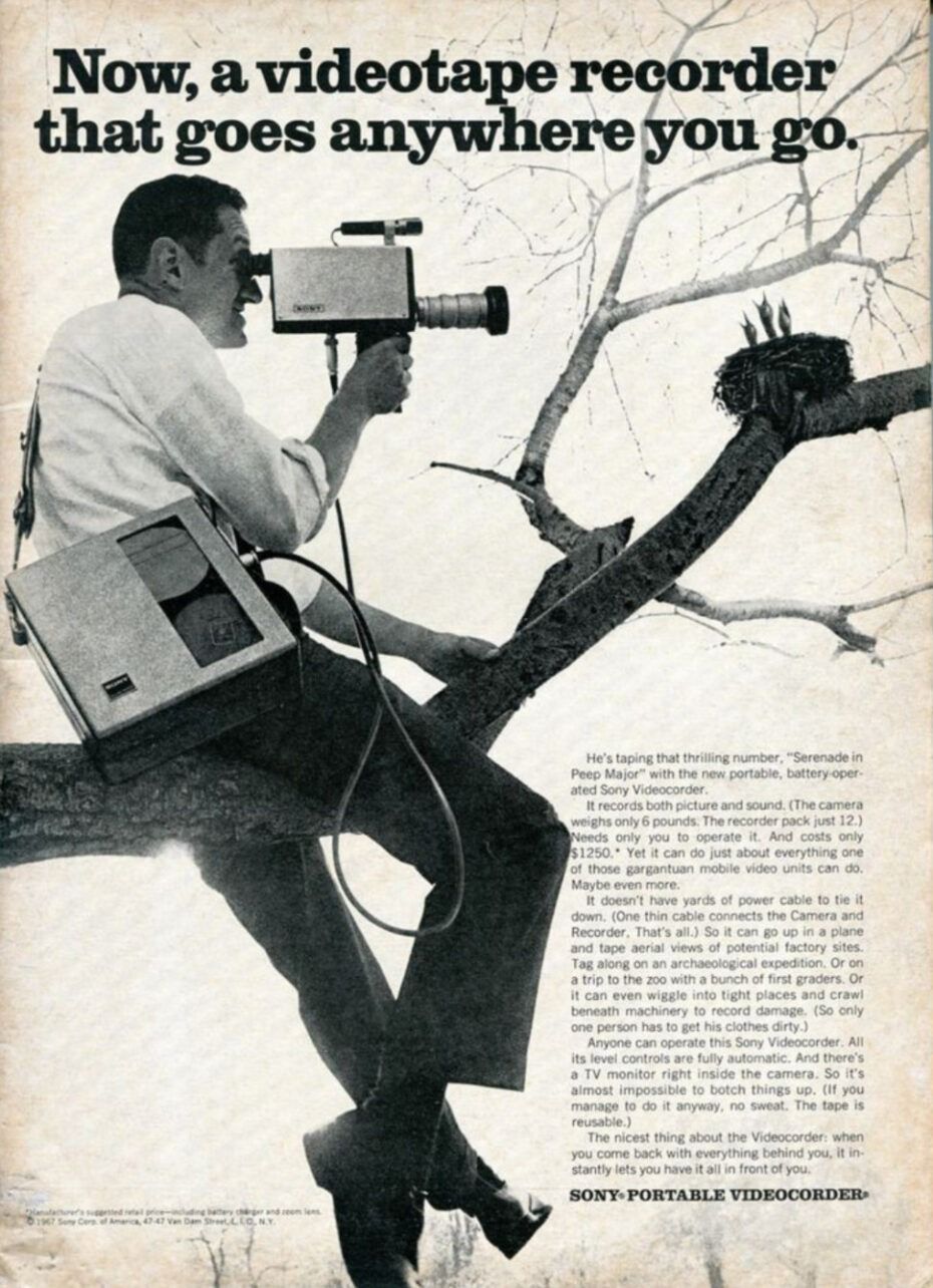 Man Filming Bird in Tree