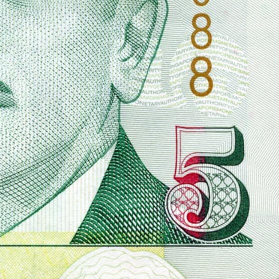 Five Euro Banknote Detail
