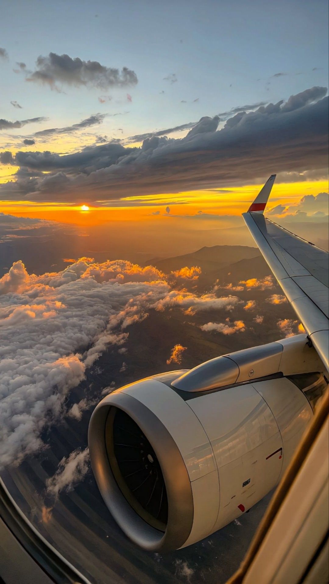 Sunset Flight