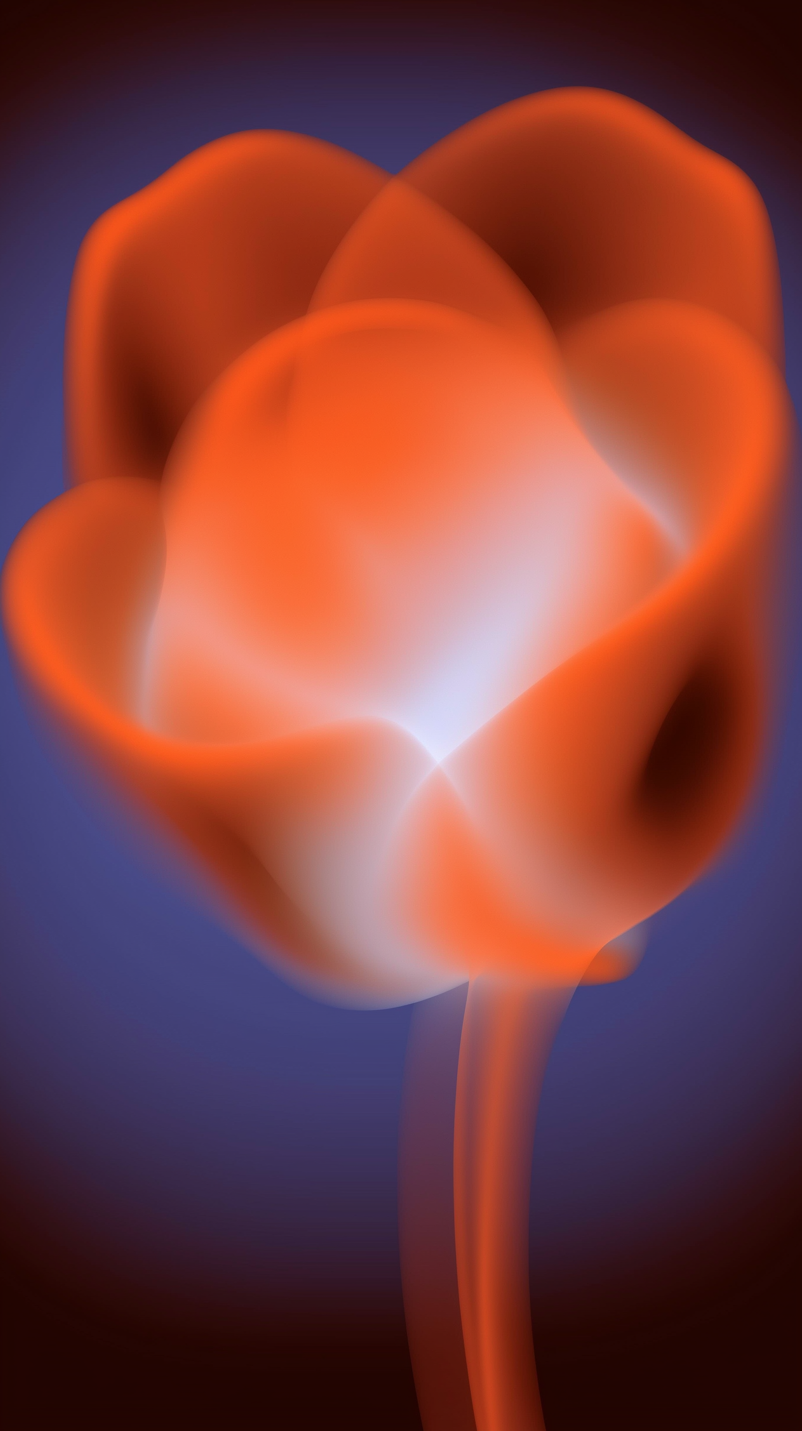 Abstract Flame