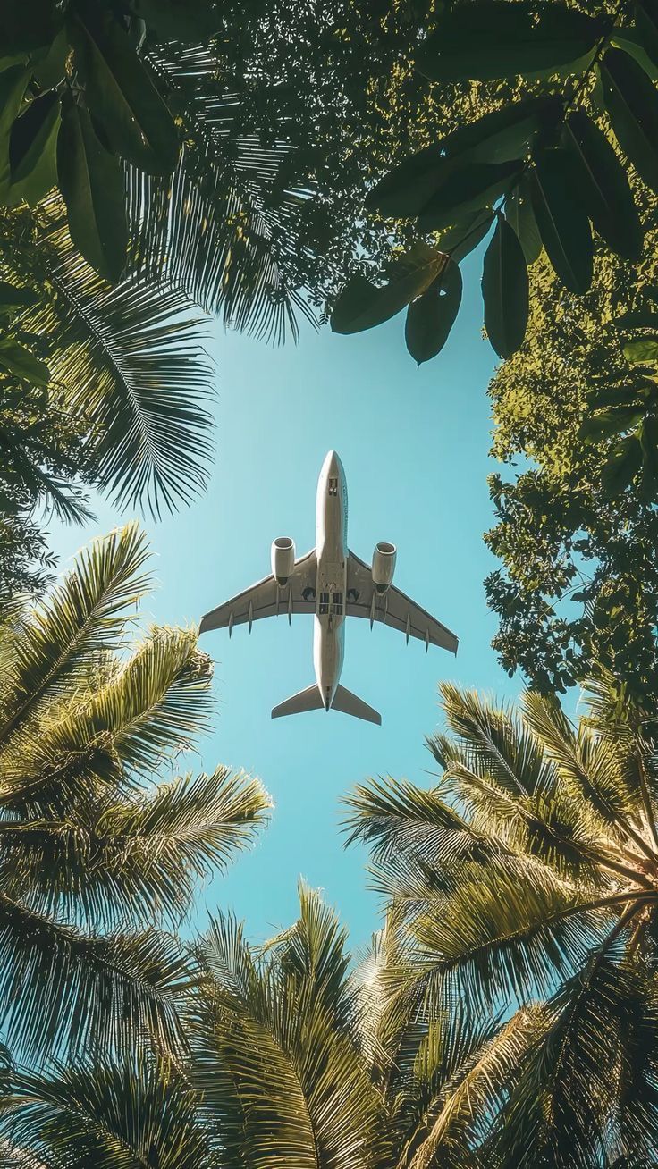 Airplane Flying Over Palm Trees