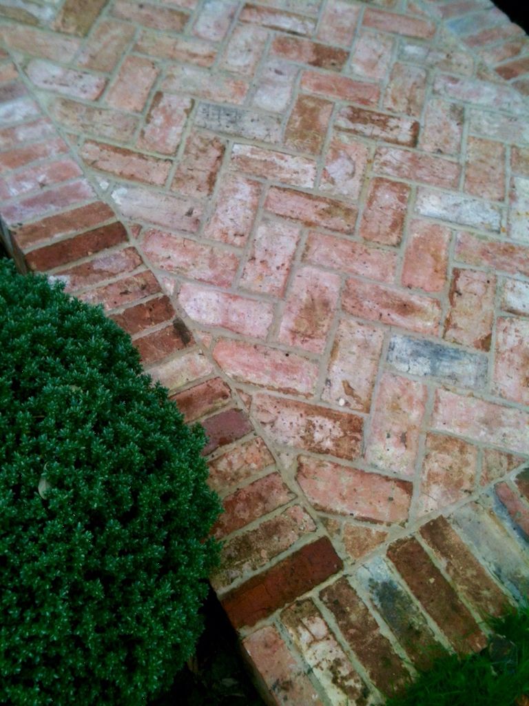 Brick Pathway with Green Bush
