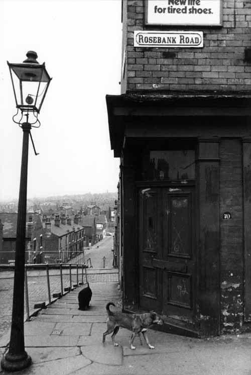 Urban Alleyway