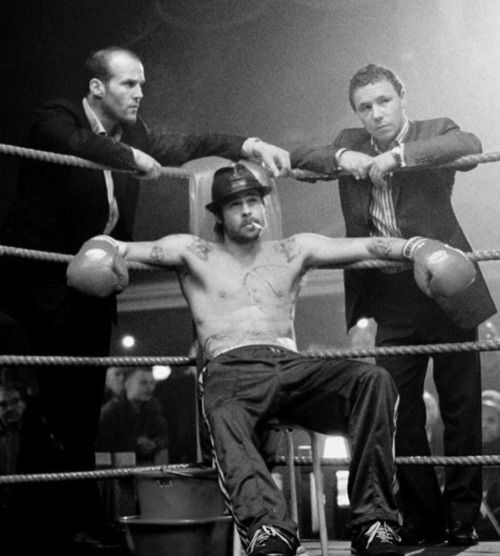 Boxer in Ring