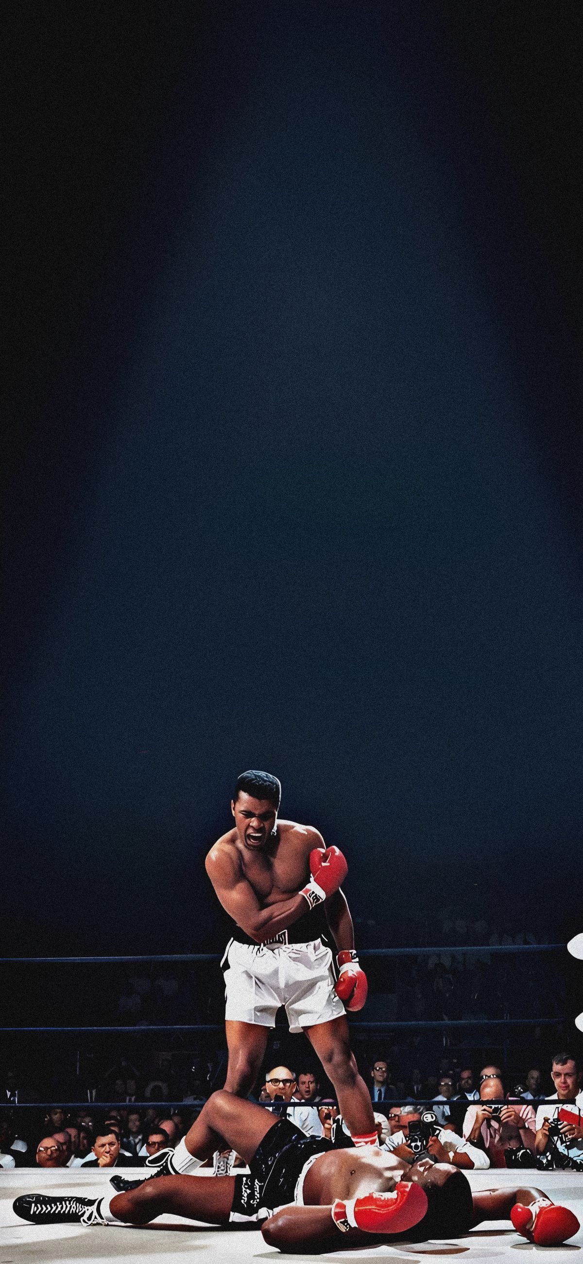 Muhammad Ali Boxing