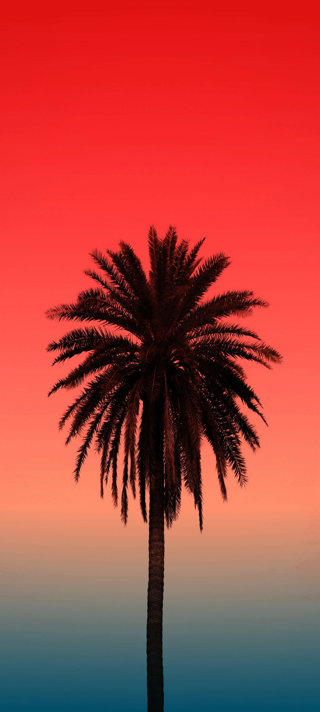 Silhouette Palm Tree Against Red Sky