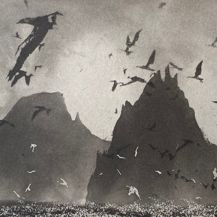 Birds Over Mountains