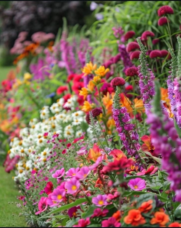 Colorful Flower Garden
