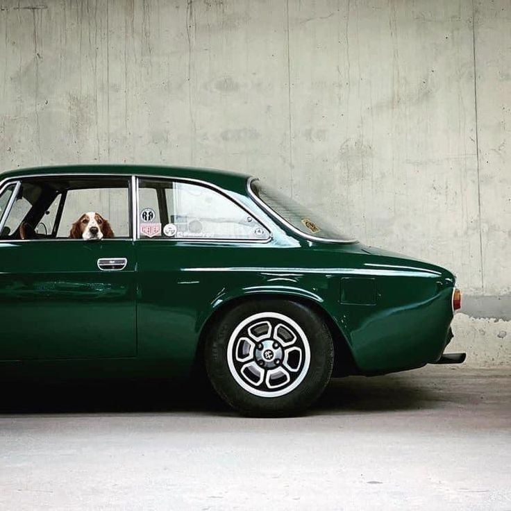 Vintage Green Car with Dog