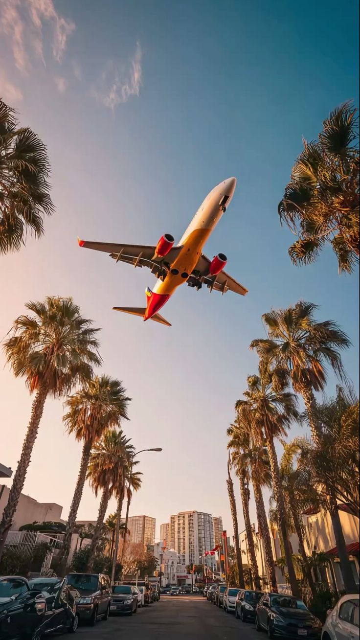 Airplane Over Palm Trees