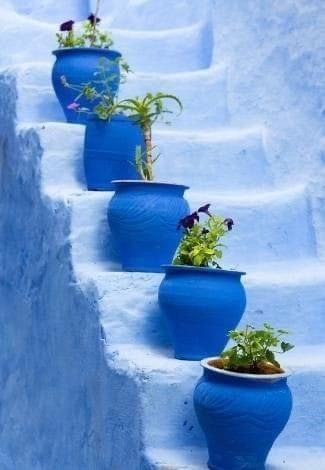 Blue Pots on Snowy Steps
