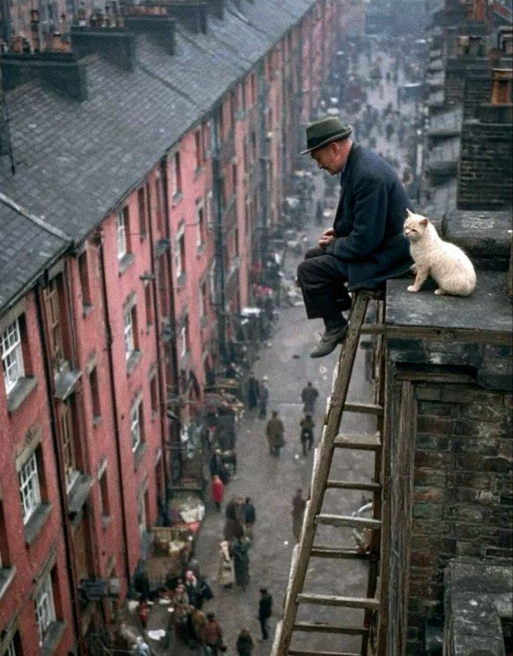 Man and Cat on Rooftop