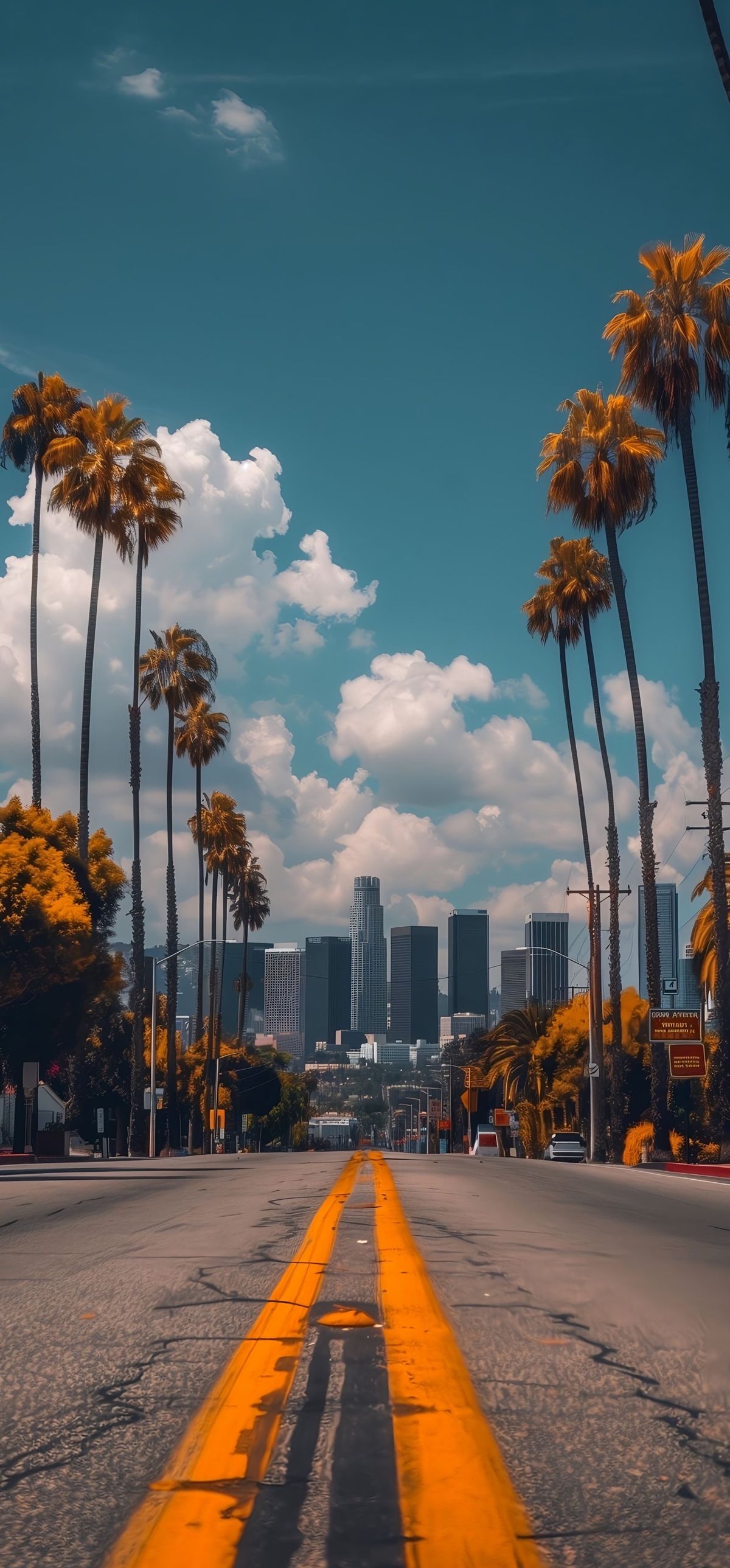 Palm Trees and Cityscape