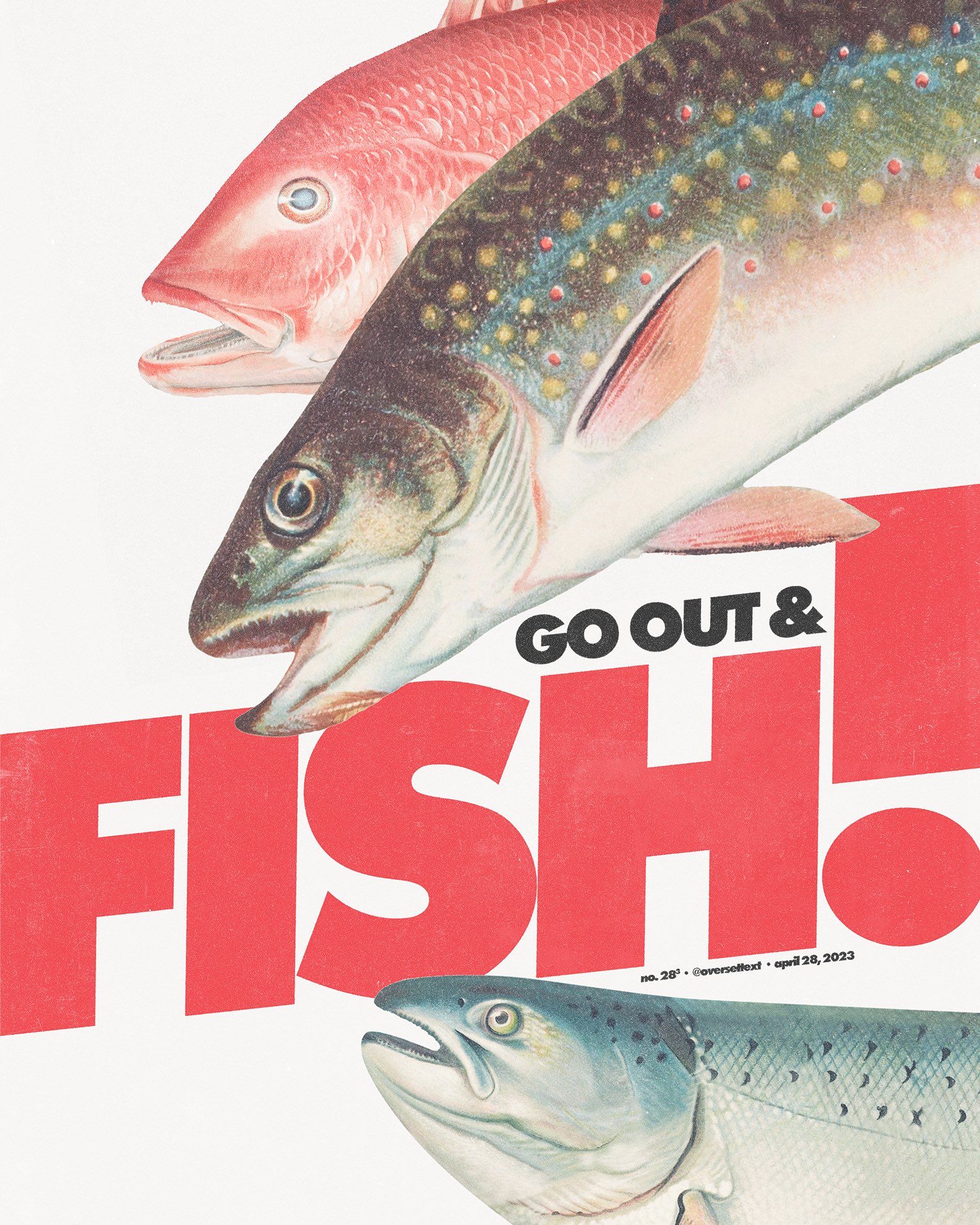 Go Out & Fish!