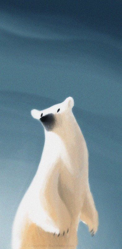 Polar Bear Gaze