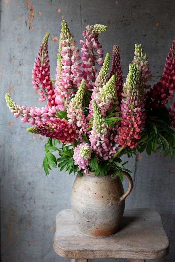 Lupine Bouquet in Stoneware Vase