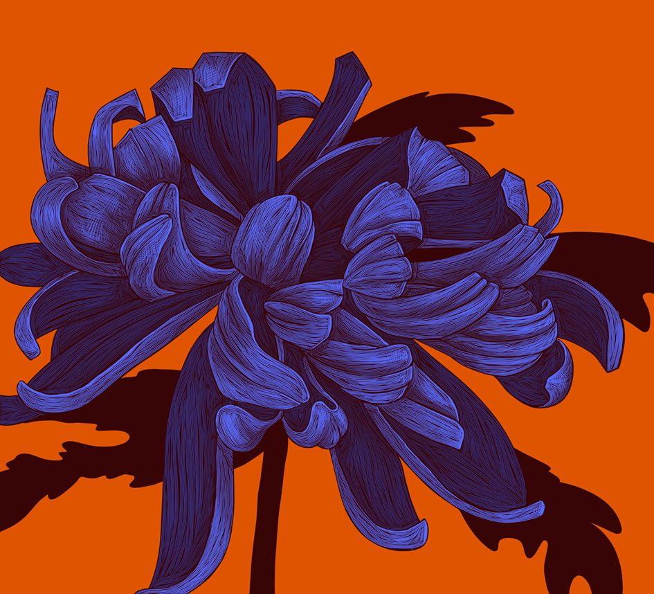 Abstract Purple Flower on Orange