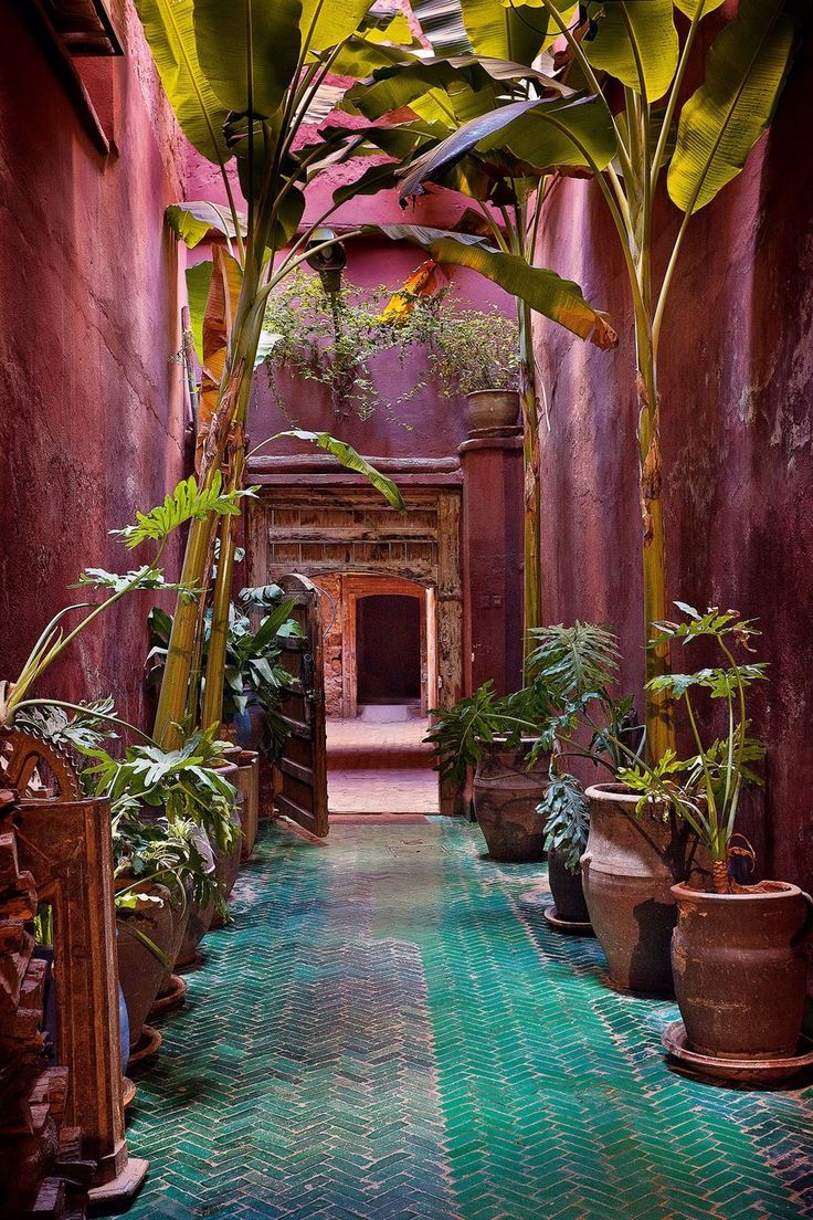 Secret Garden Passage