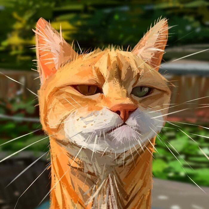 Orange Tabby Cat Portrait