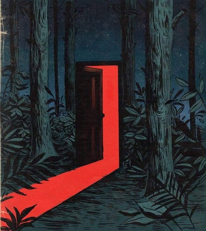 Mysterious Door in the Forest