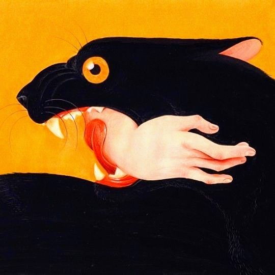 Black Cat with Human Hand