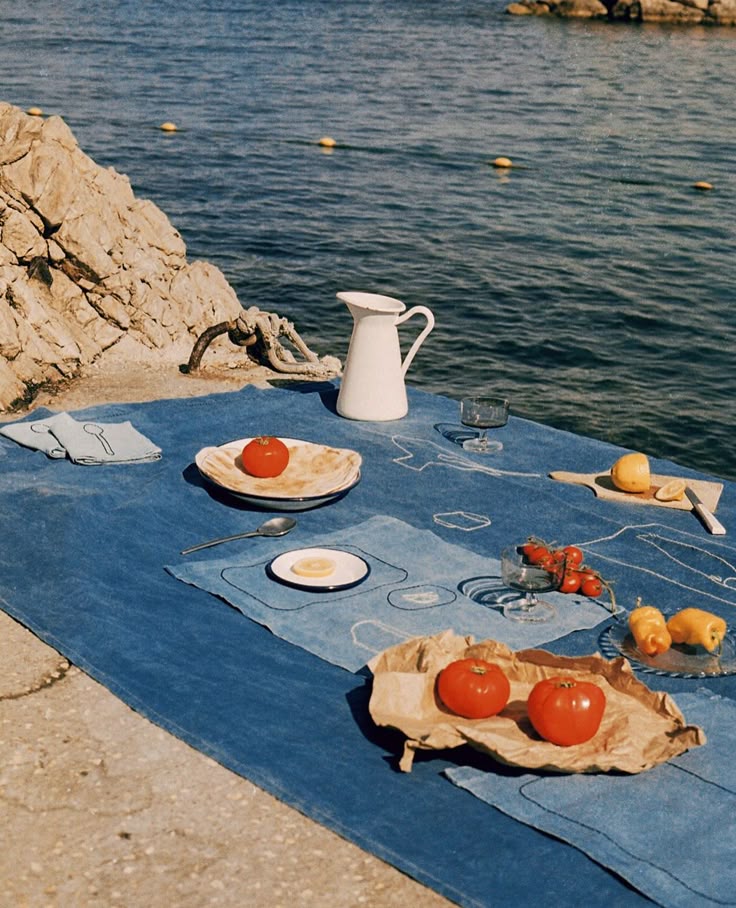 Coastal Picnic by the Sea