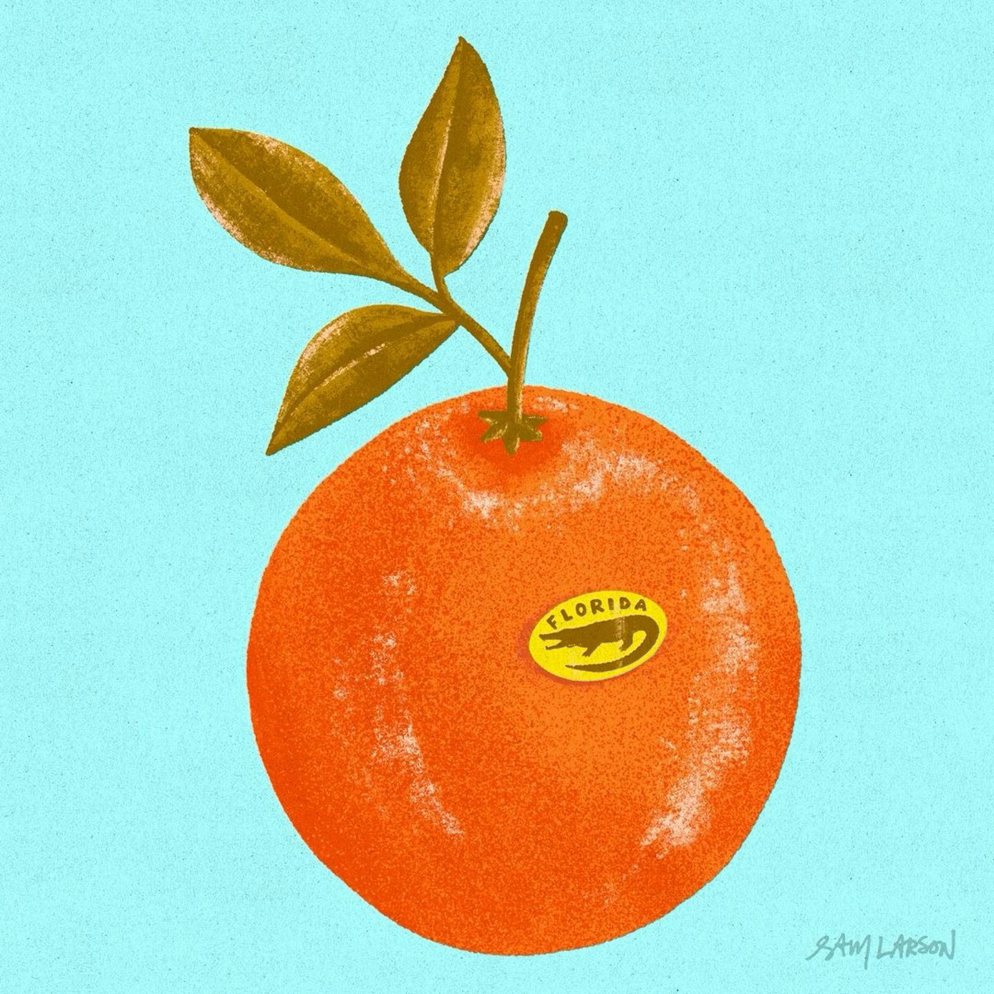 Florida Orange