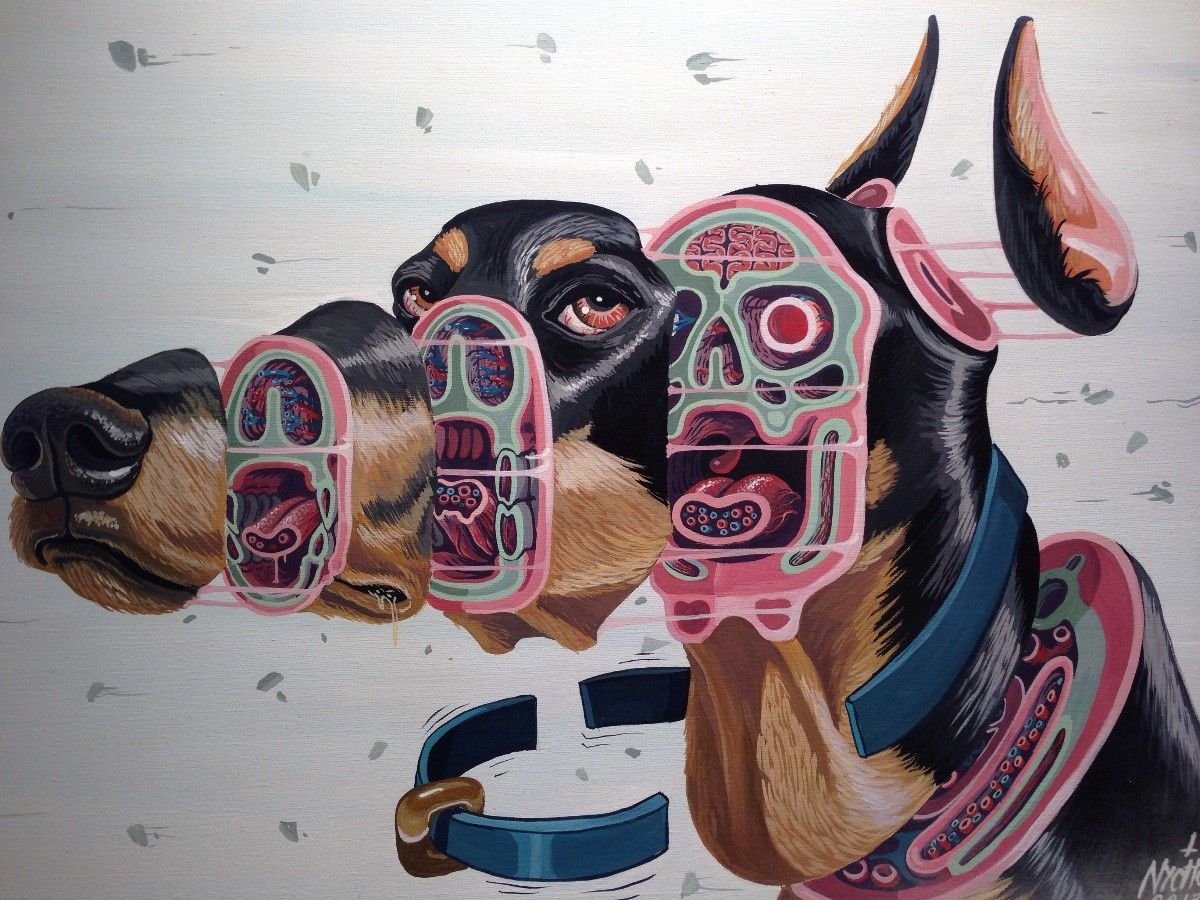 Dog with Brain Anatomy