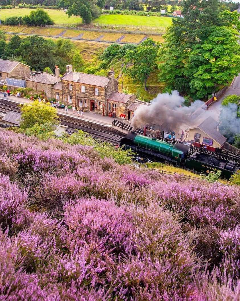 Steam Train Through Purple Heather