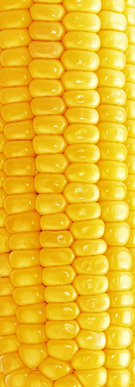 Close-up of vibrant yellow corn kernels