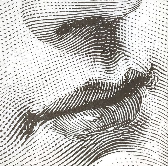 Dotwork Portrait