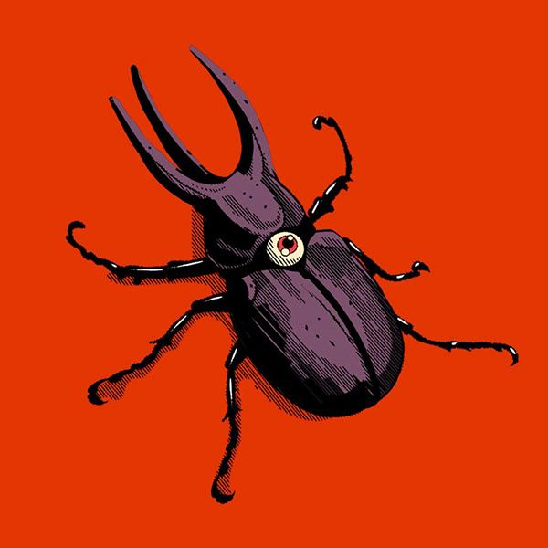 Stag Beetle