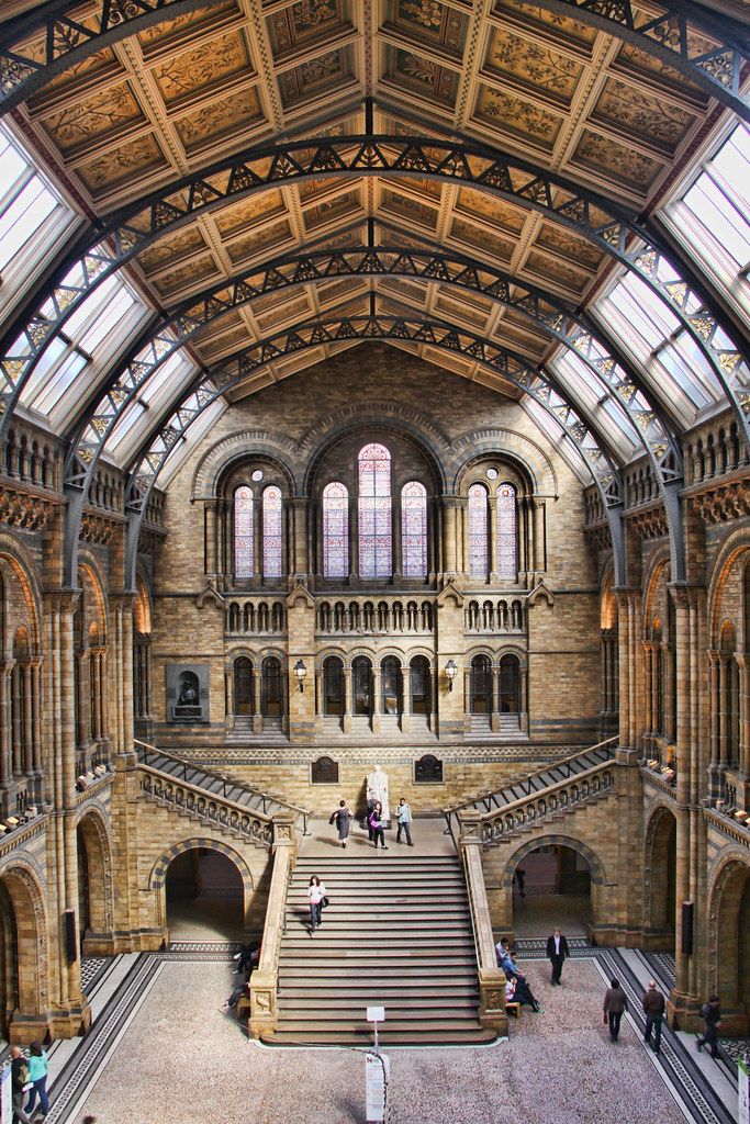 Natural History Museum Interior