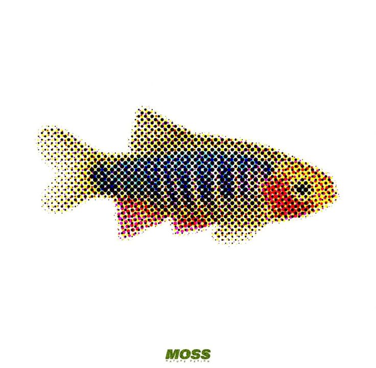 Pointillist Fish