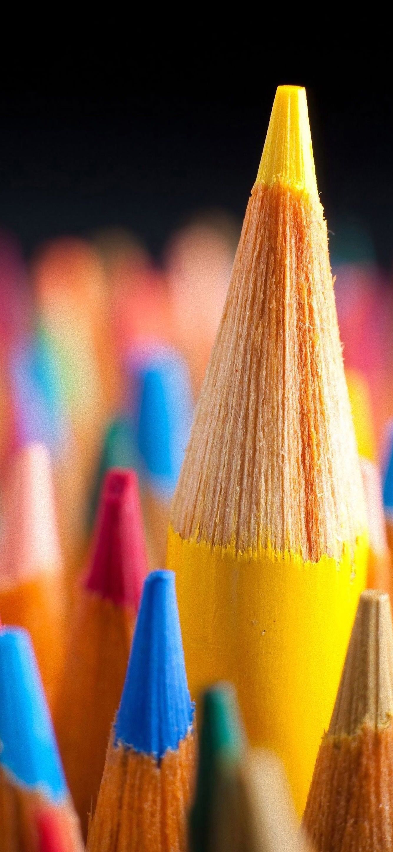Close-Up of Colorful Pencils