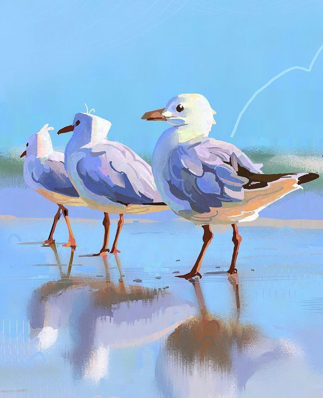 Seagulls on the Shore