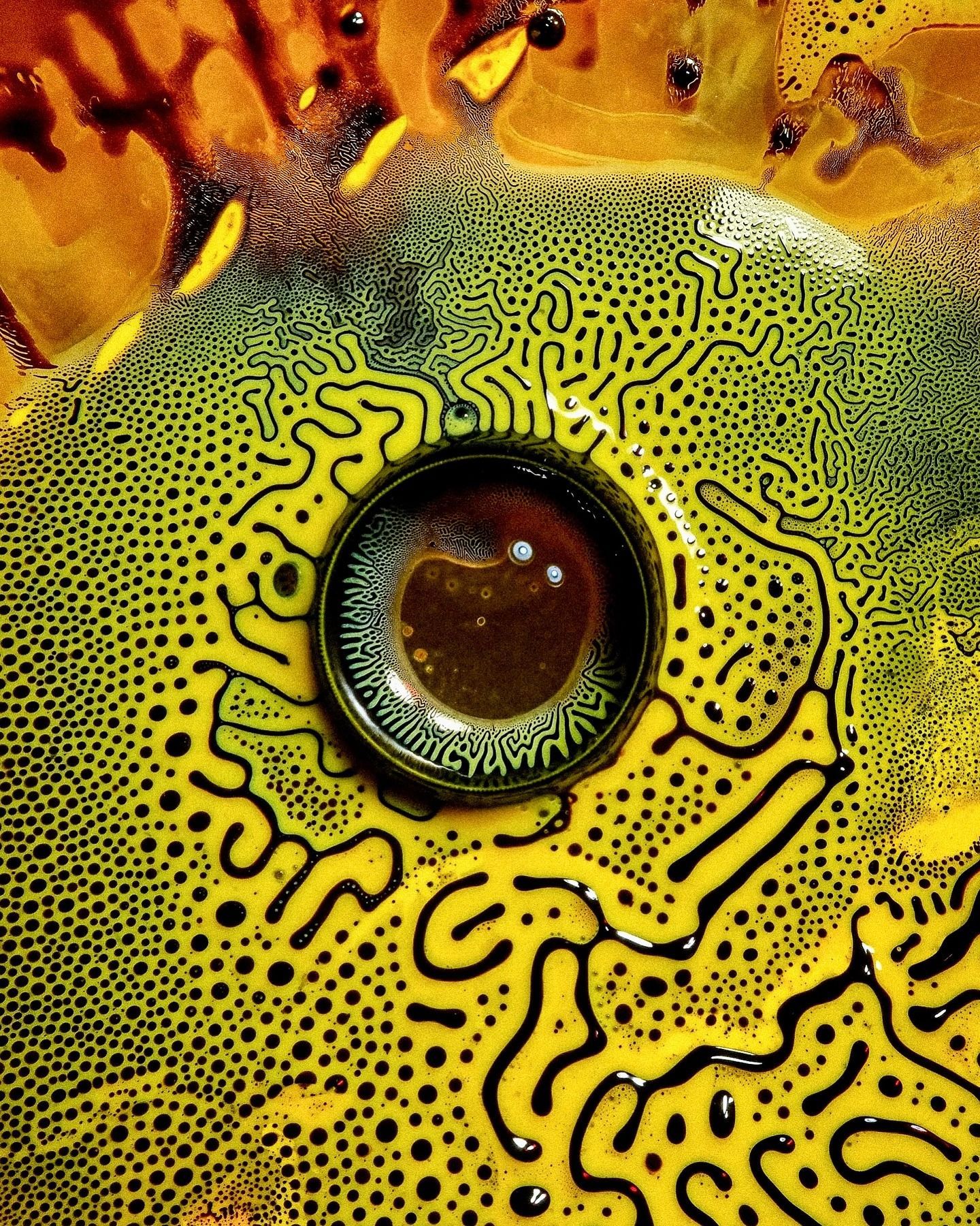 Eye of the Sea