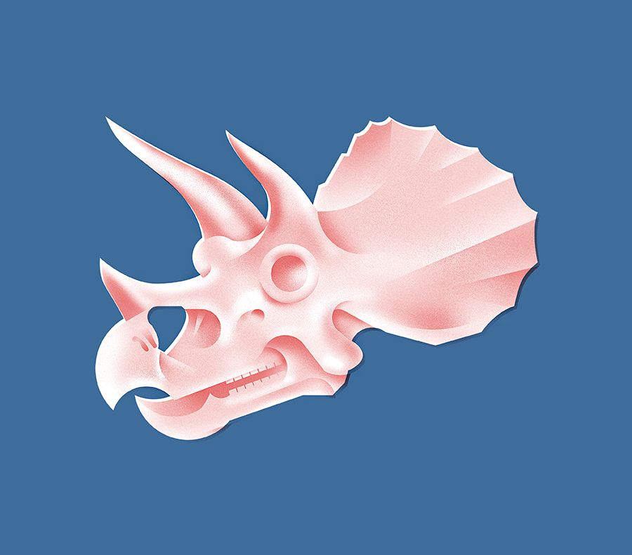Triceratops Skull Illustration