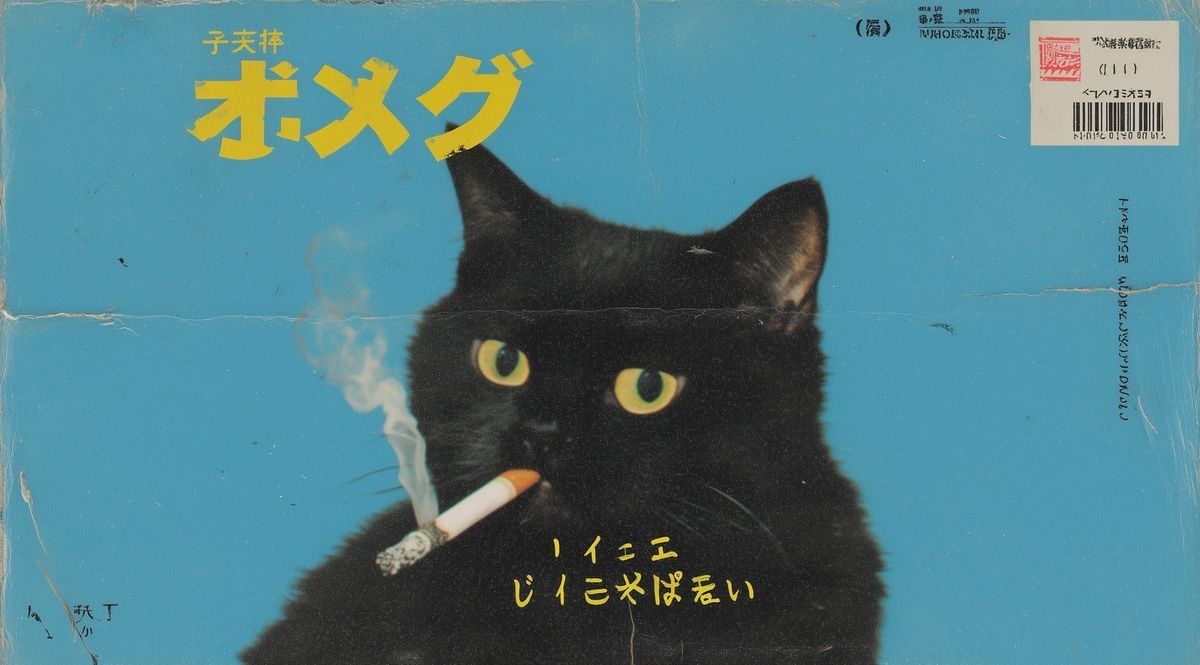 Black Cat Smoking