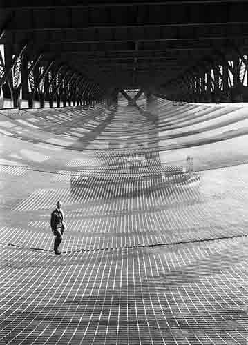 Under the Pier