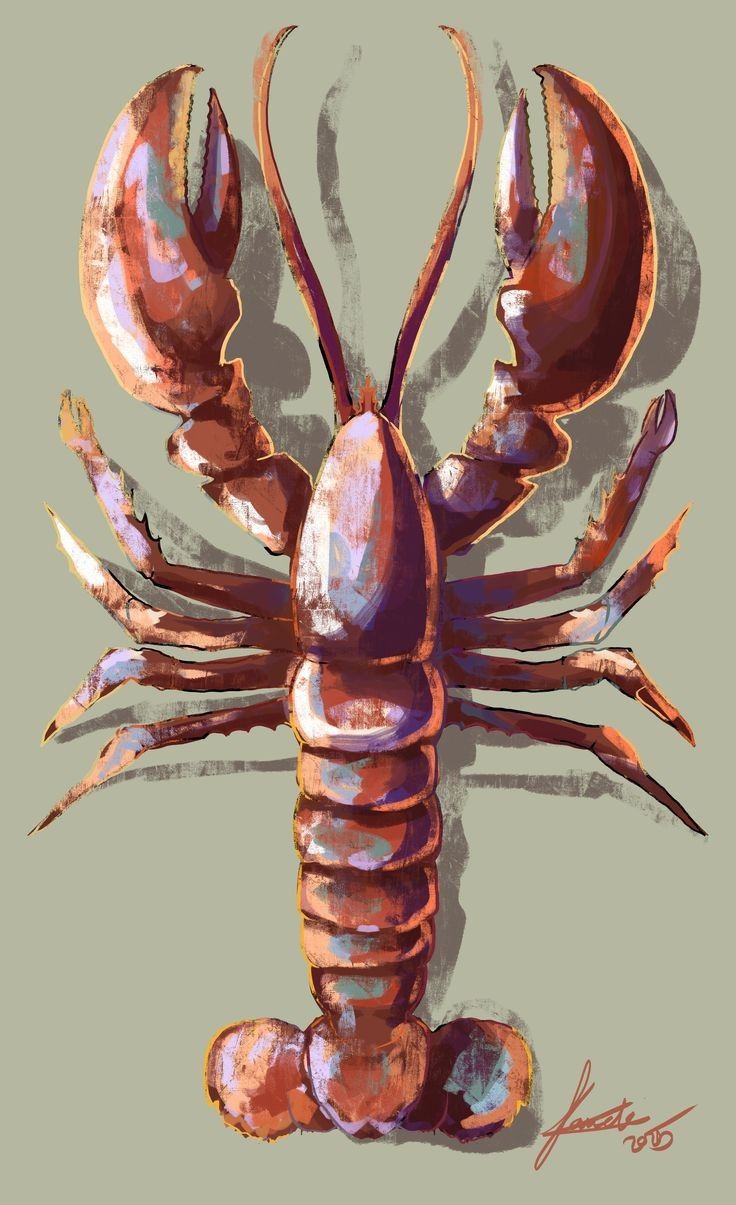 Crayon Lobster