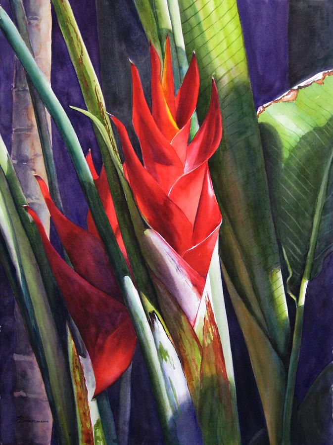 Fiery Heliconia Bloom