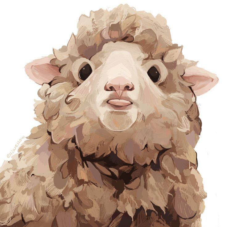 Curly Sheep Portrait