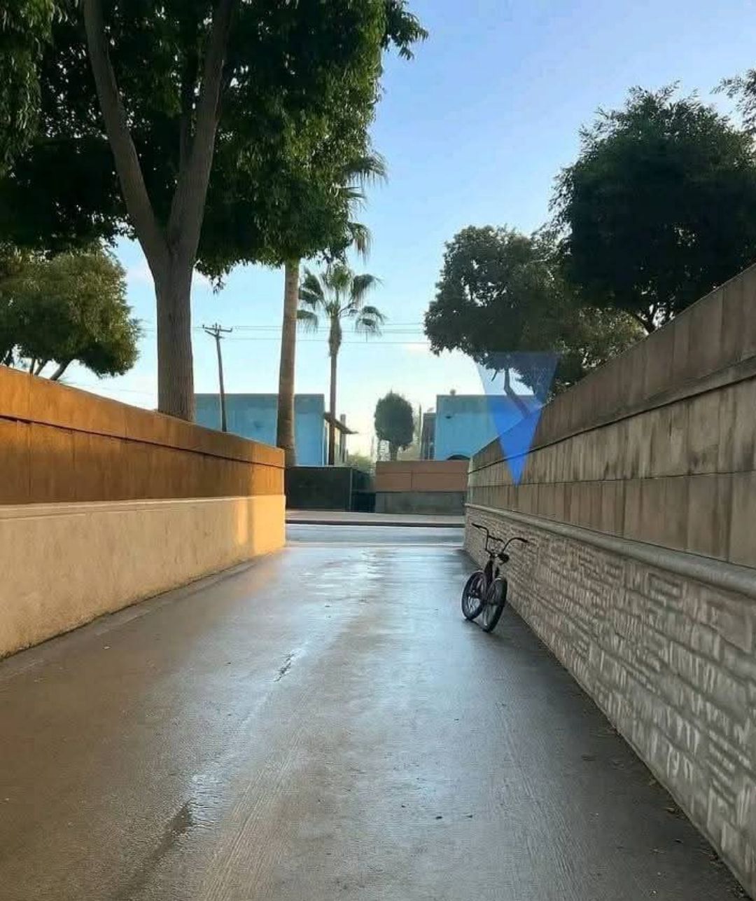 Bicycle in Concrete Alley