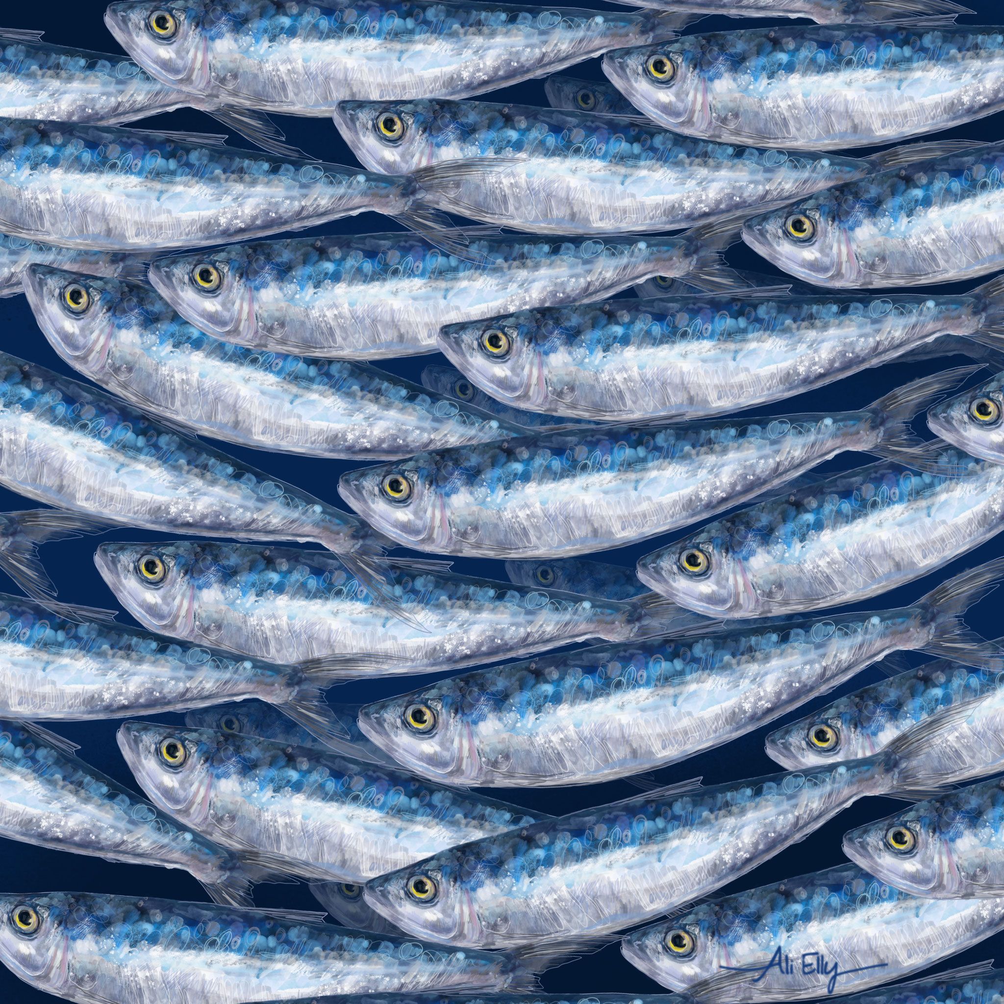 School of Blue Fish