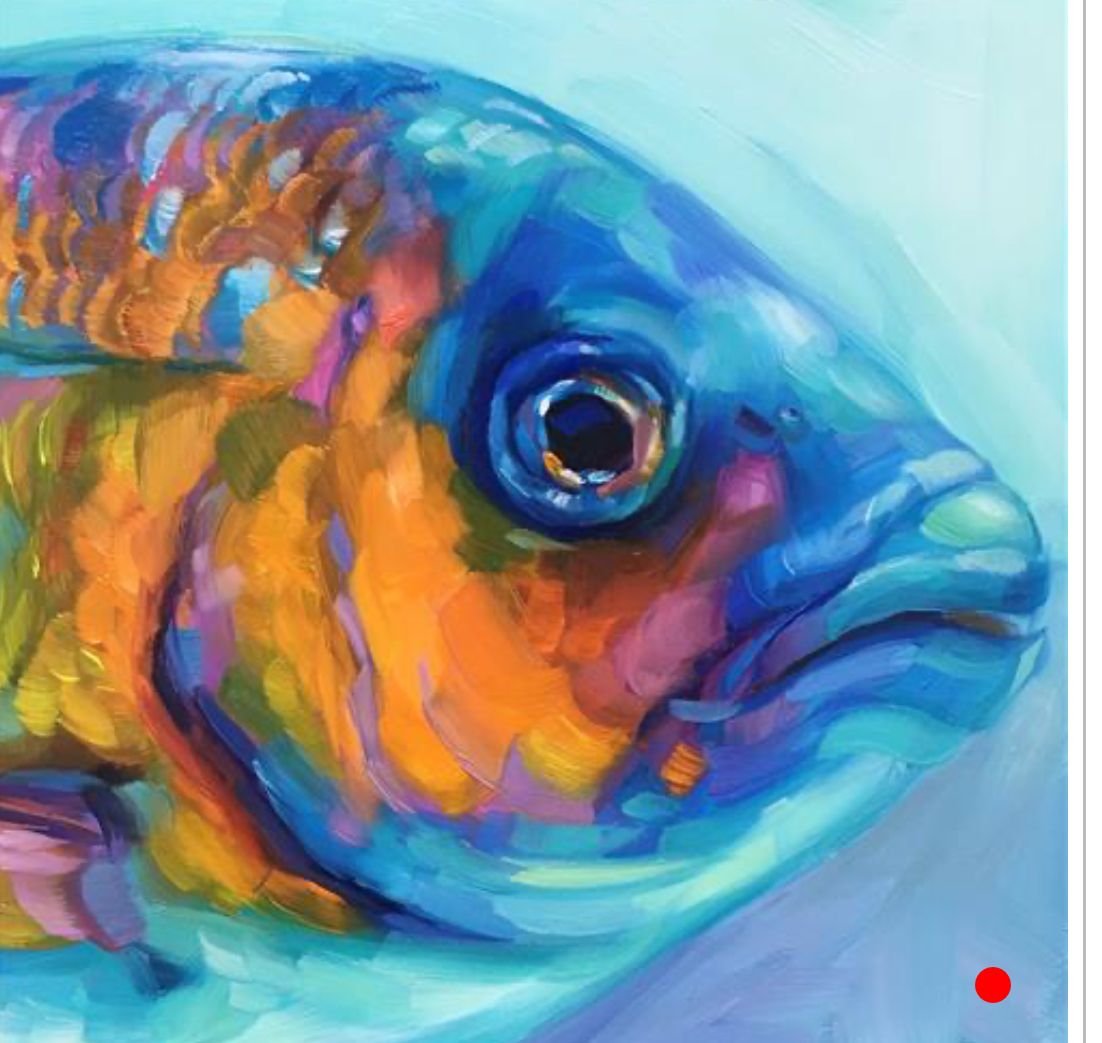Colorful Fish Portrait