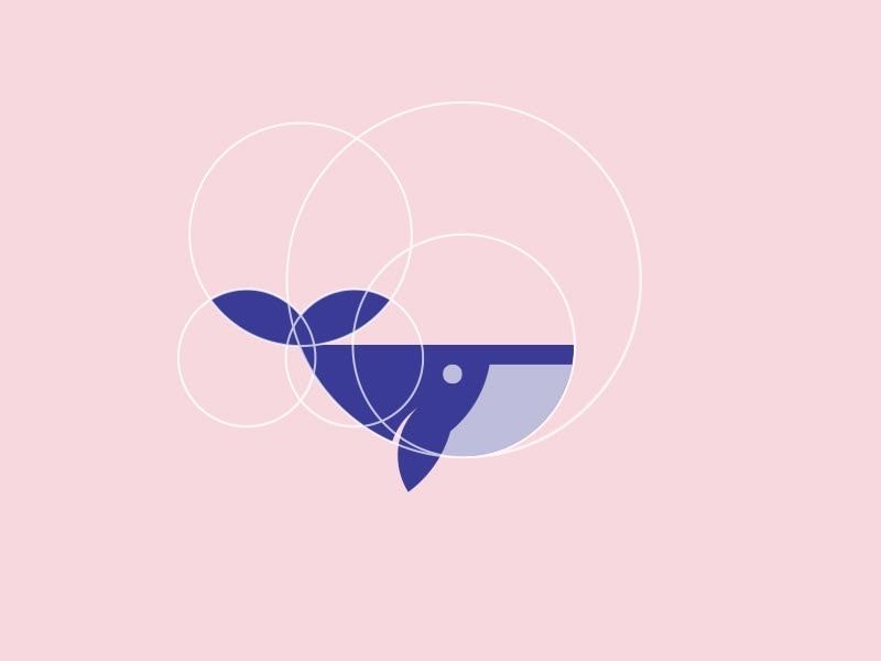 Whale Circles